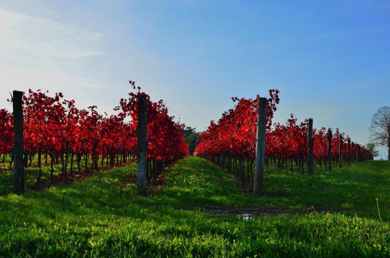 Alloggio Agrituristico Corte San Biagio Corno di Rosazzo Dış mekan fotoğraf