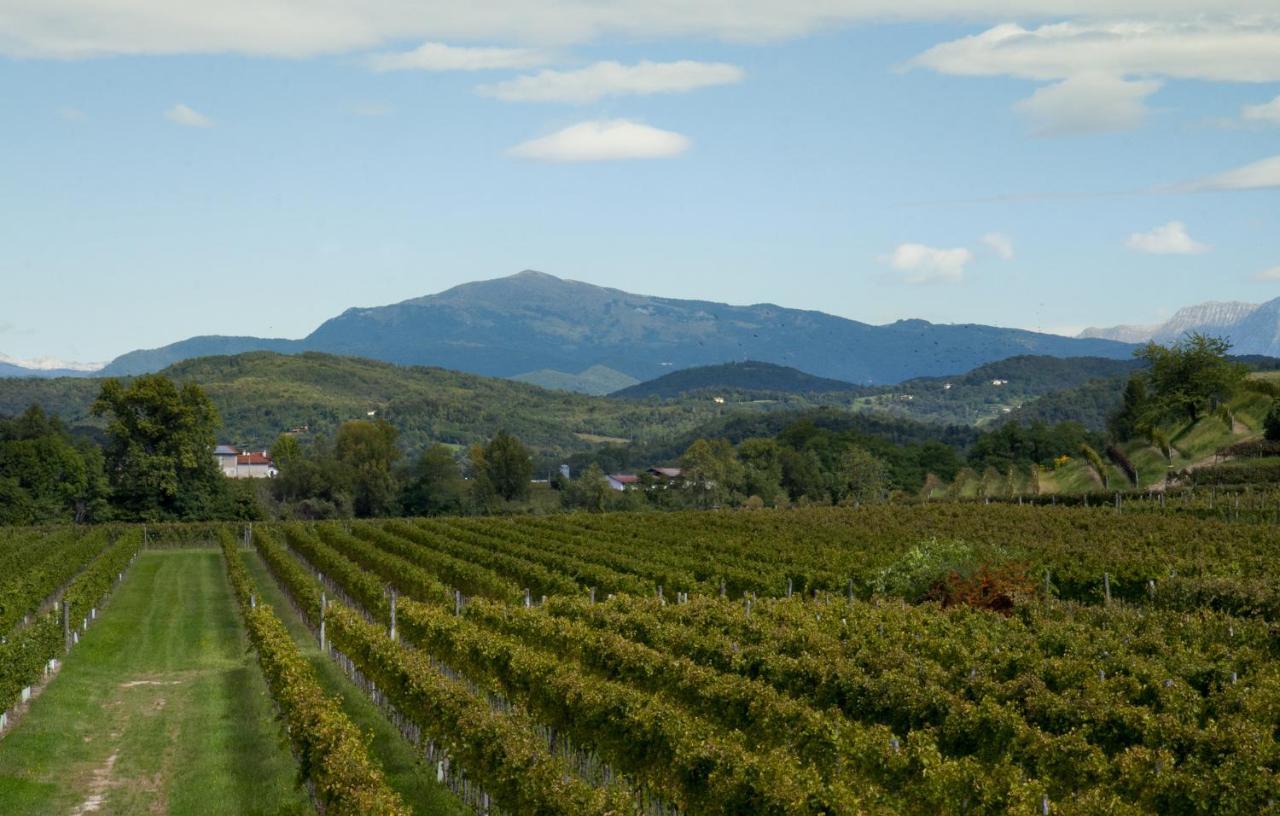 Alloggio Agrituristico Corte San Biagio Corno di Rosazzo Dış mekan fotoğraf