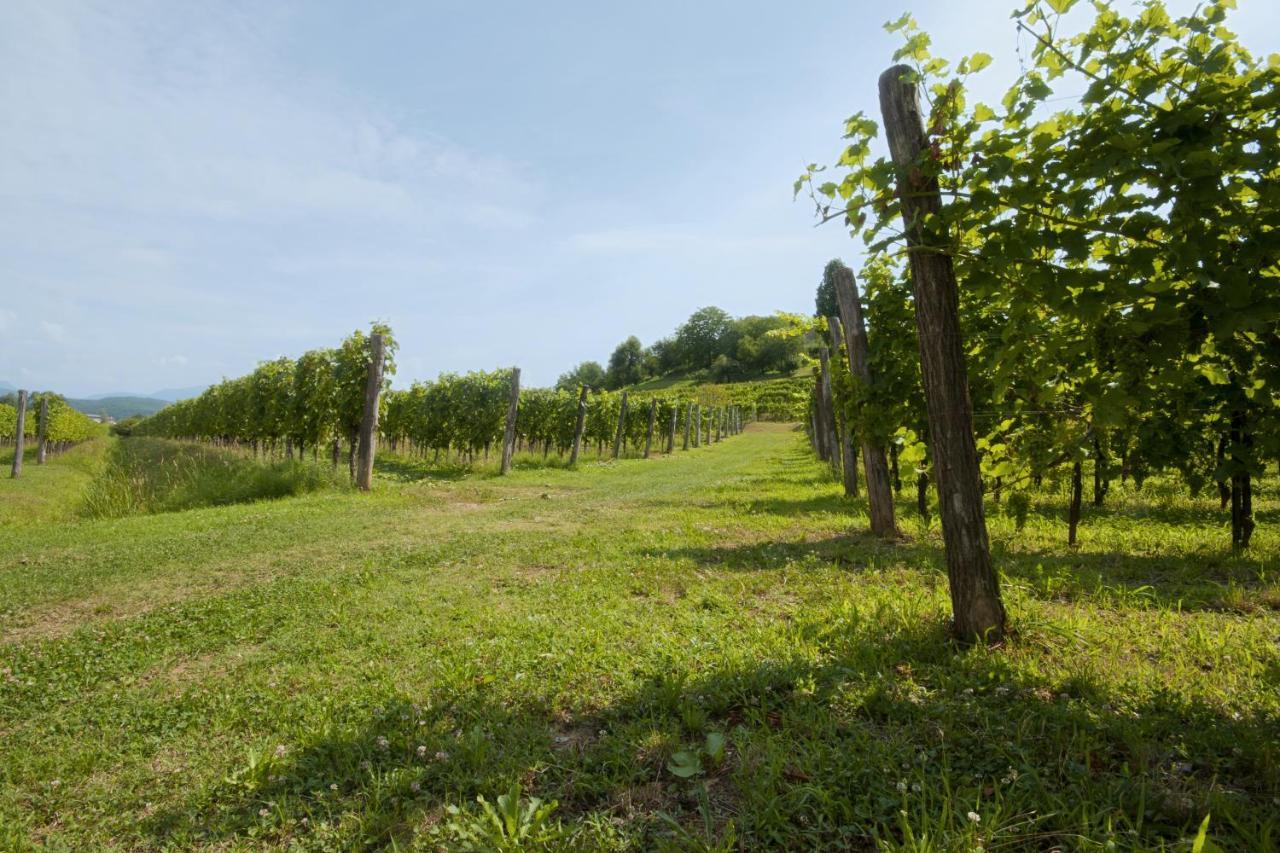 Alloggio Agrituristico Corte San Biagio Corno di Rosazzo Dış mekan fotoğraf