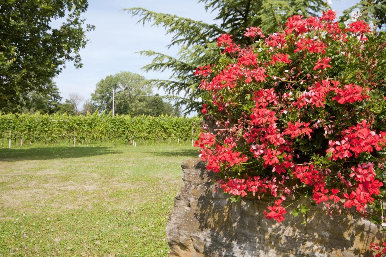 Alloggio Agrituristico Corte San Biagio Corno di Rosazzo Dış mekan fotoğraf